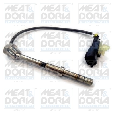 Sensor, exhaust gas temperature